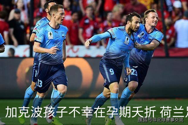 加克波孩子不幸在孕期夭折 荷兰足协：球员愿留队征战