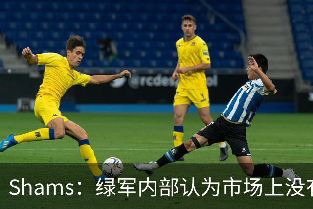 Shams：绿军内部认为市场上没有比乔治+选秀权换布朗更好的报价